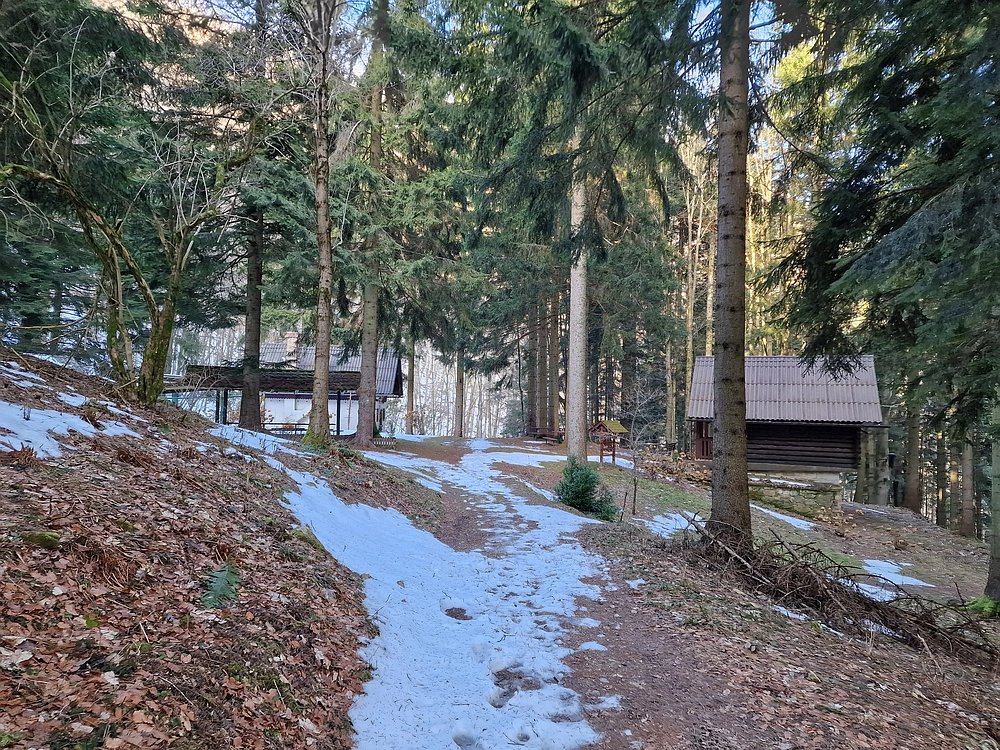 Javor, Sv. Planina, 18. 1. 2026