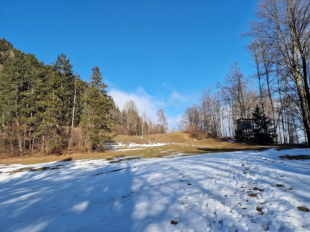 Javor, Sv. Planina, 18. 1. 2026