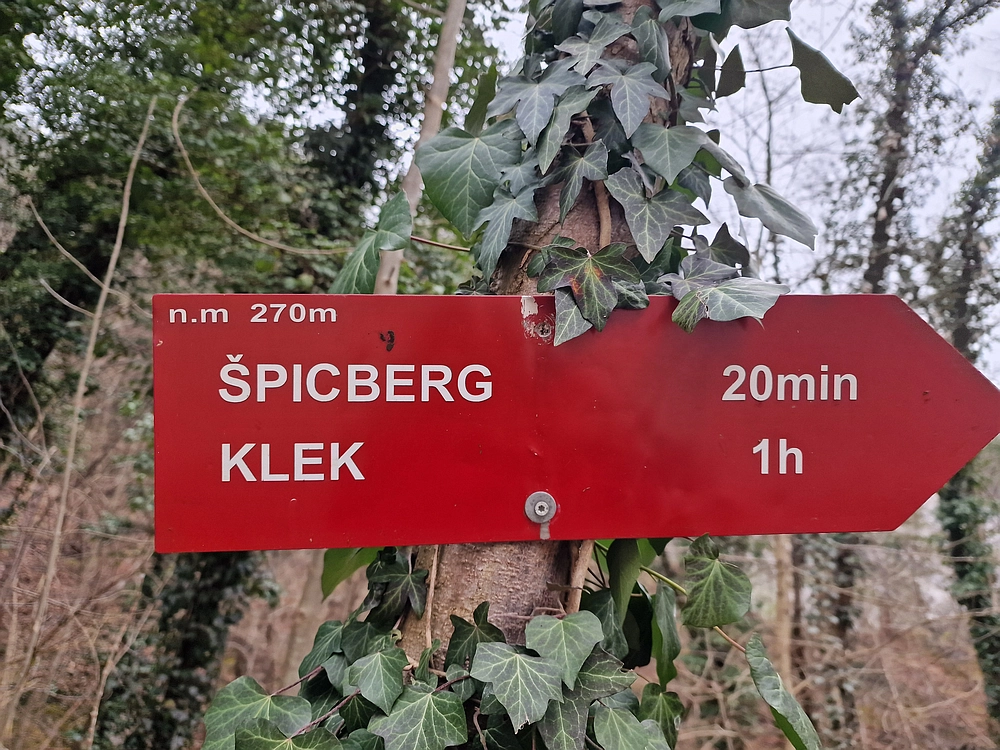 Špicberg, 31. 1. 2026