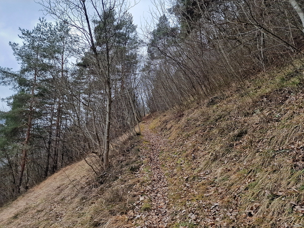 Špicberg, 31. 1. 2026