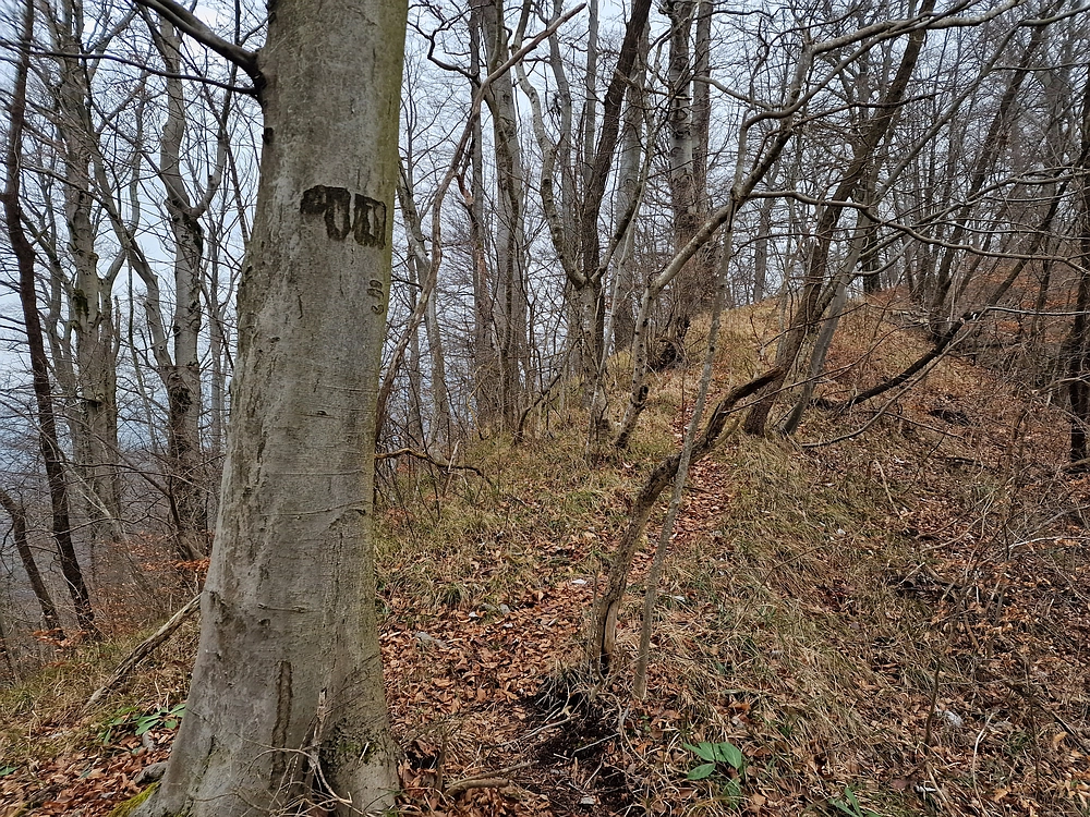 Špicberg, 31. 1. 2026