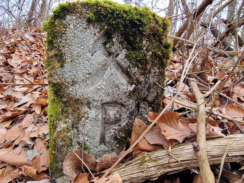 Špicberg, 31. 1. 2026
