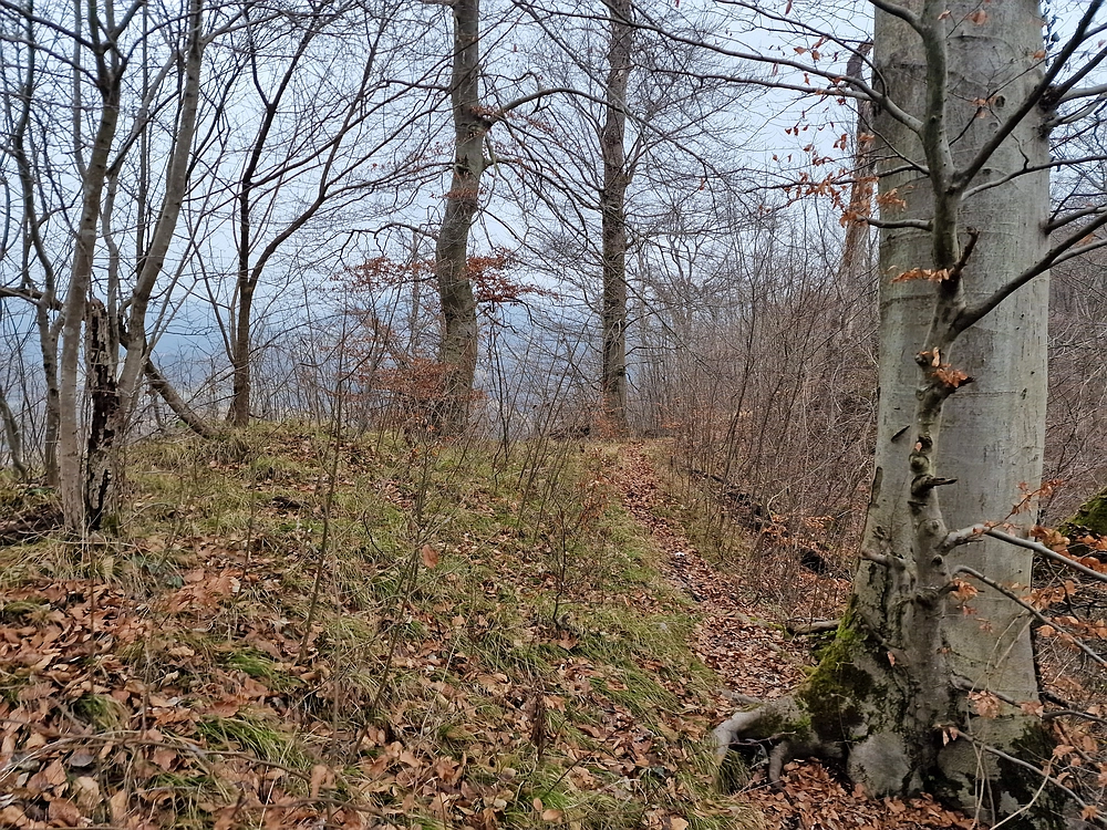 Špicberg, 31. 1. 2026