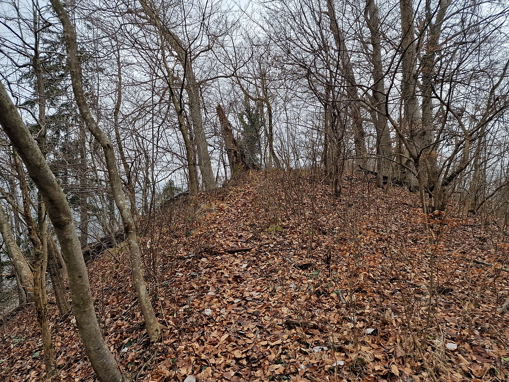 Špicberg, 31. 1. 2026