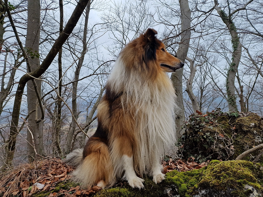 Špicberg, 31. 1. 2026