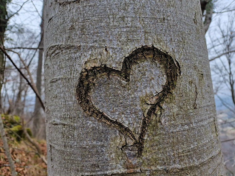 Špicberg, 31. 1. 2026