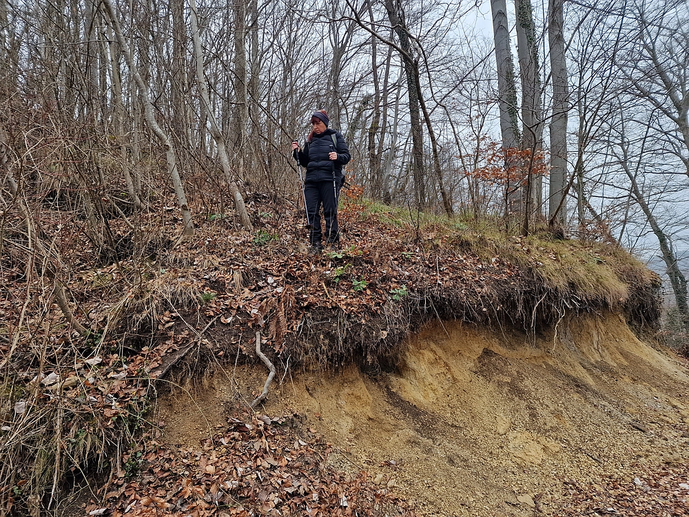 Špicberg, 31. 1. 2026
