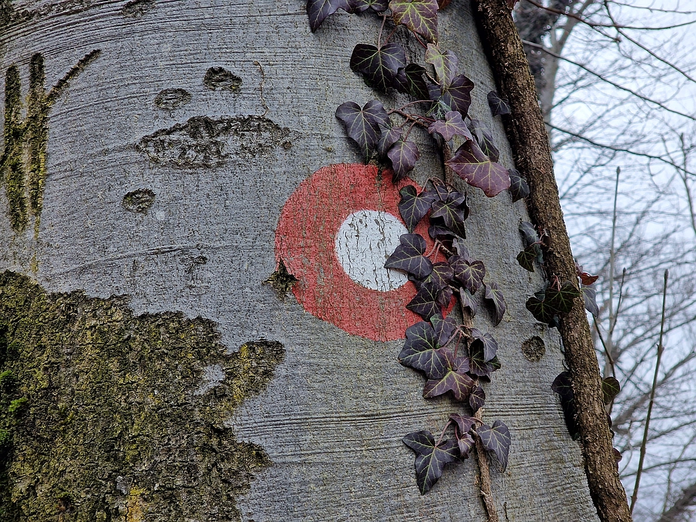 Špicberg, 31. 1. 2026