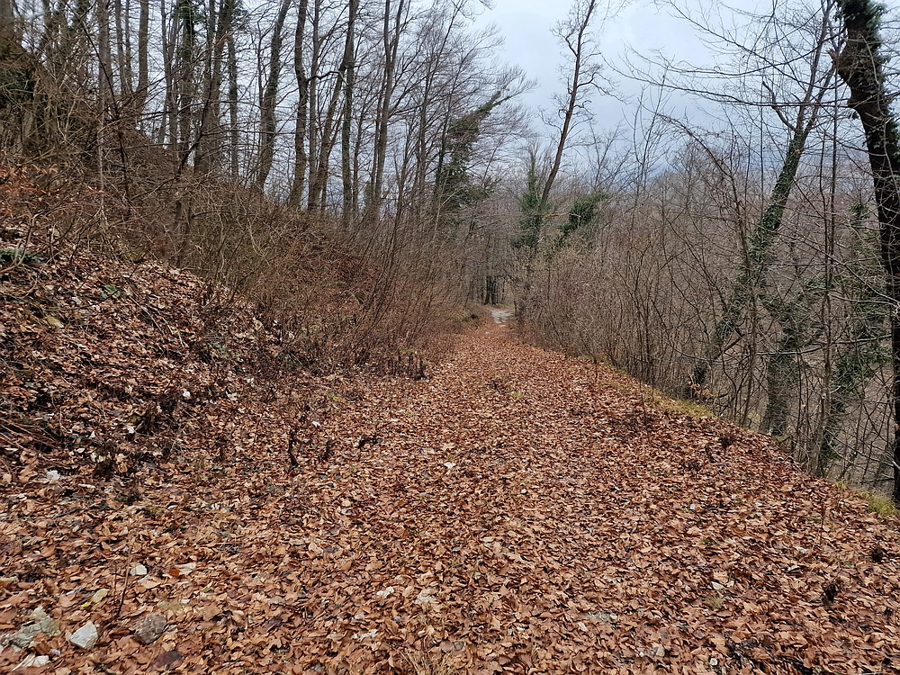 Špicberg, 31. 1. 2026