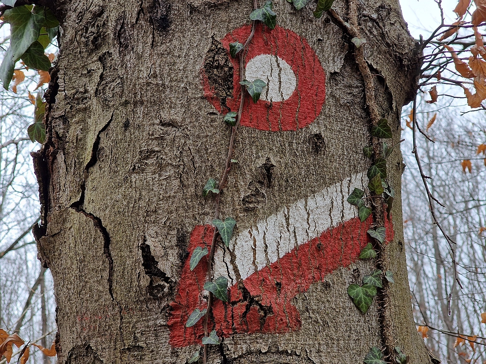 Špicberg, 31. 1. 2026