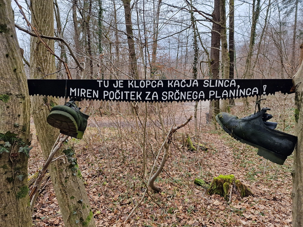 Špicberg, 31. 1. 2026