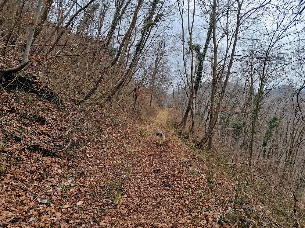 Špicberg, 31. 1. 2026