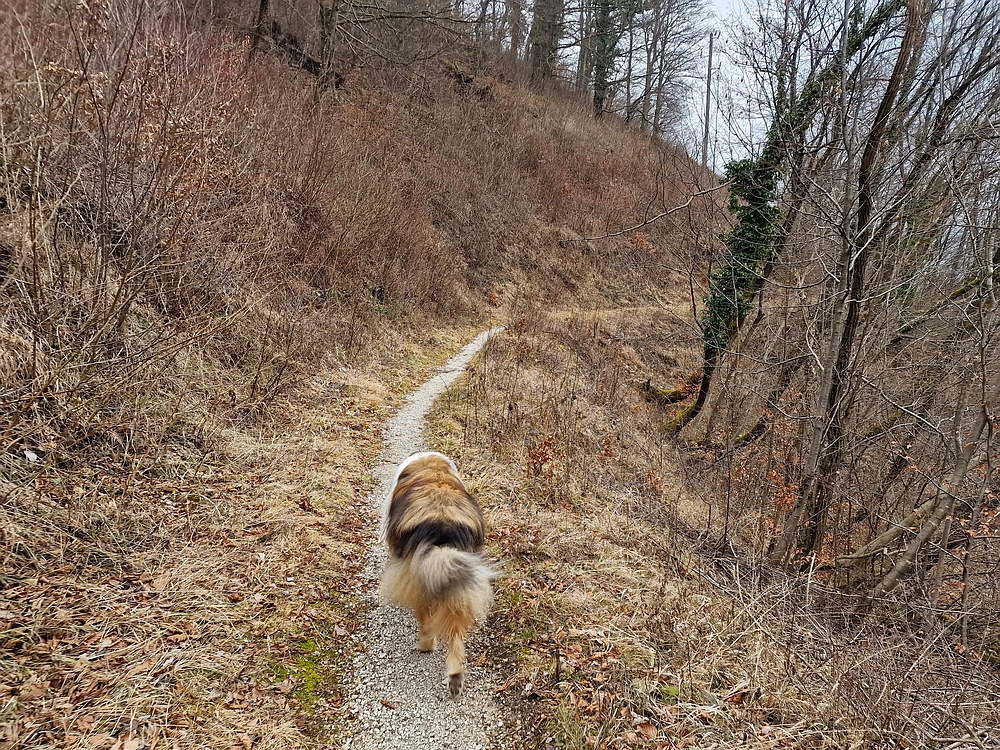 Špicberg, 31. 1. 2026