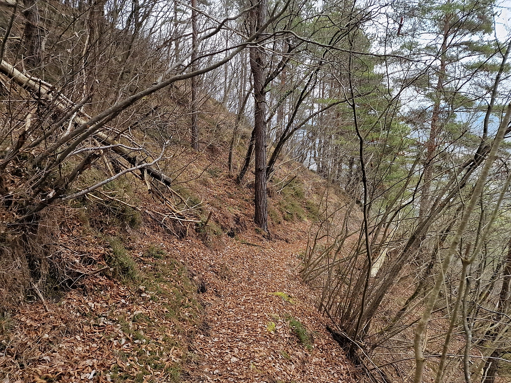 Špicberg, 31. 1. 2026