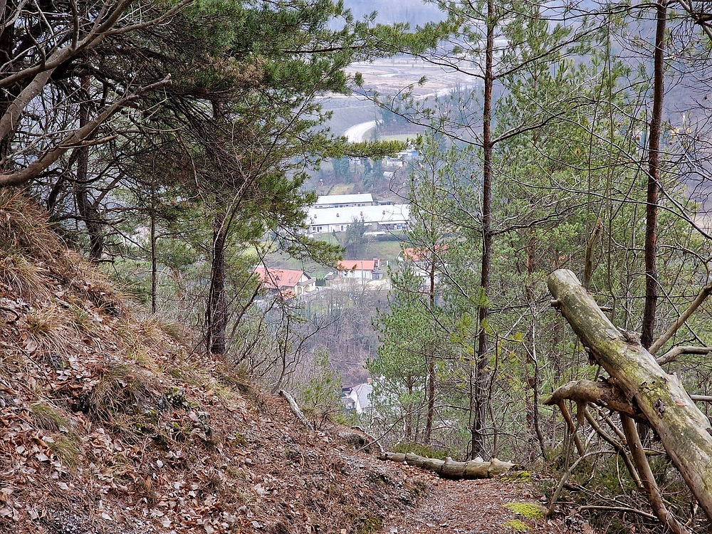 Špicberg, 31. 1. 2026