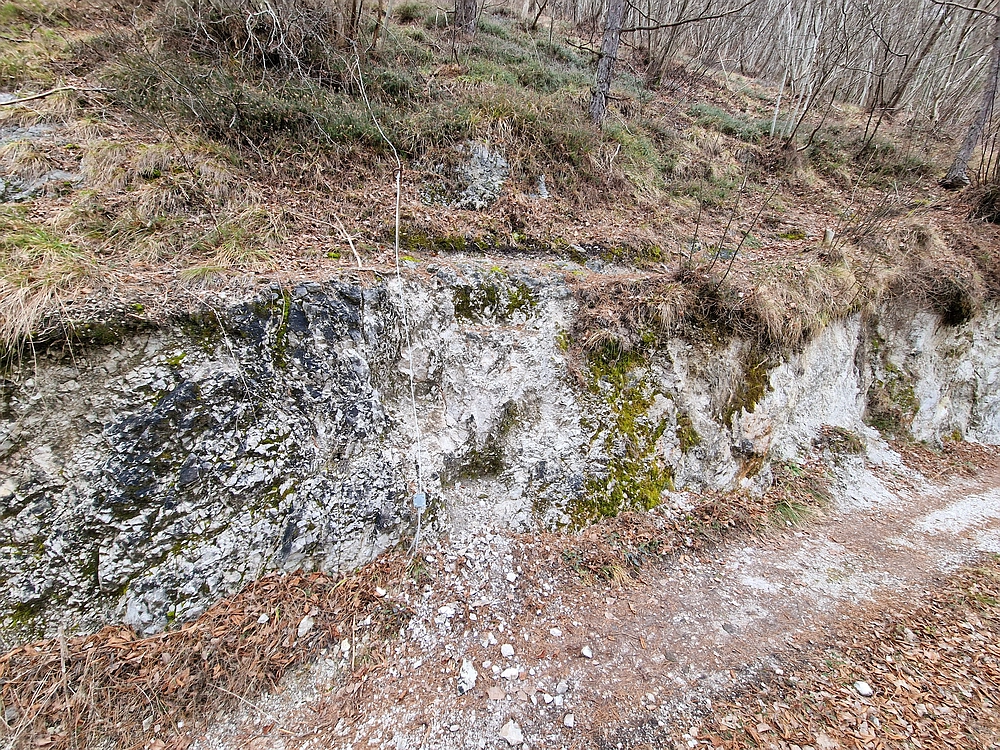 Špicberg, 31. 1. 2026