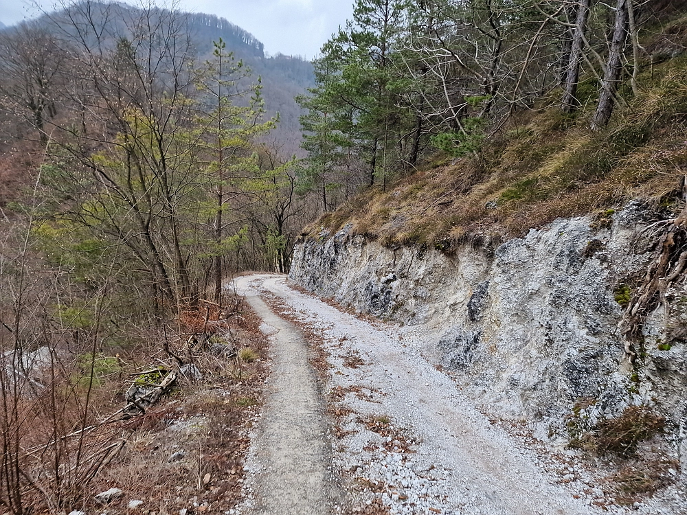 Špicberg, 31. 1. 2026