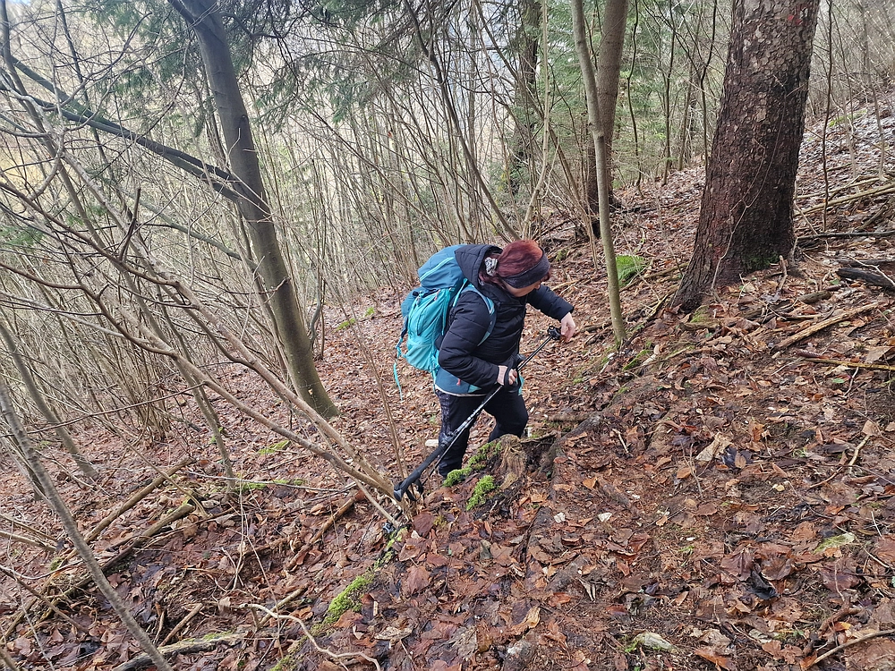 Kočet - Homič - Mrzlica, 8. 1. 2026