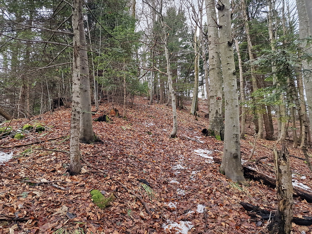 Kočet - Homič - Mrzlica, 8. 1. 2026