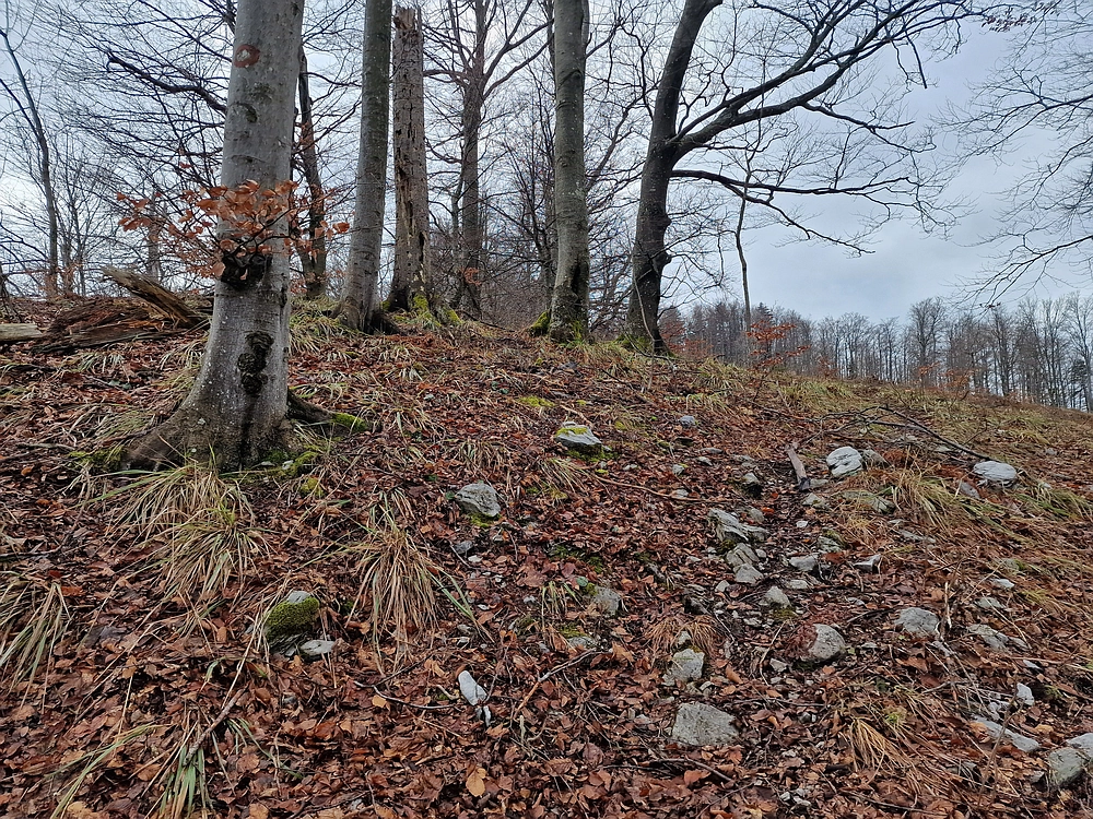 Kočet - Homič - Mrzlica, 8. 1. 2026