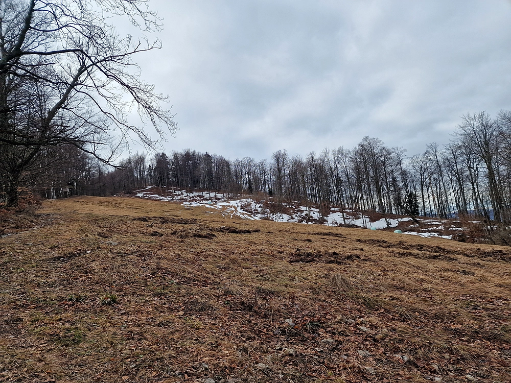 Kočet - Homič - Mrzlica, 8. 1. 2026