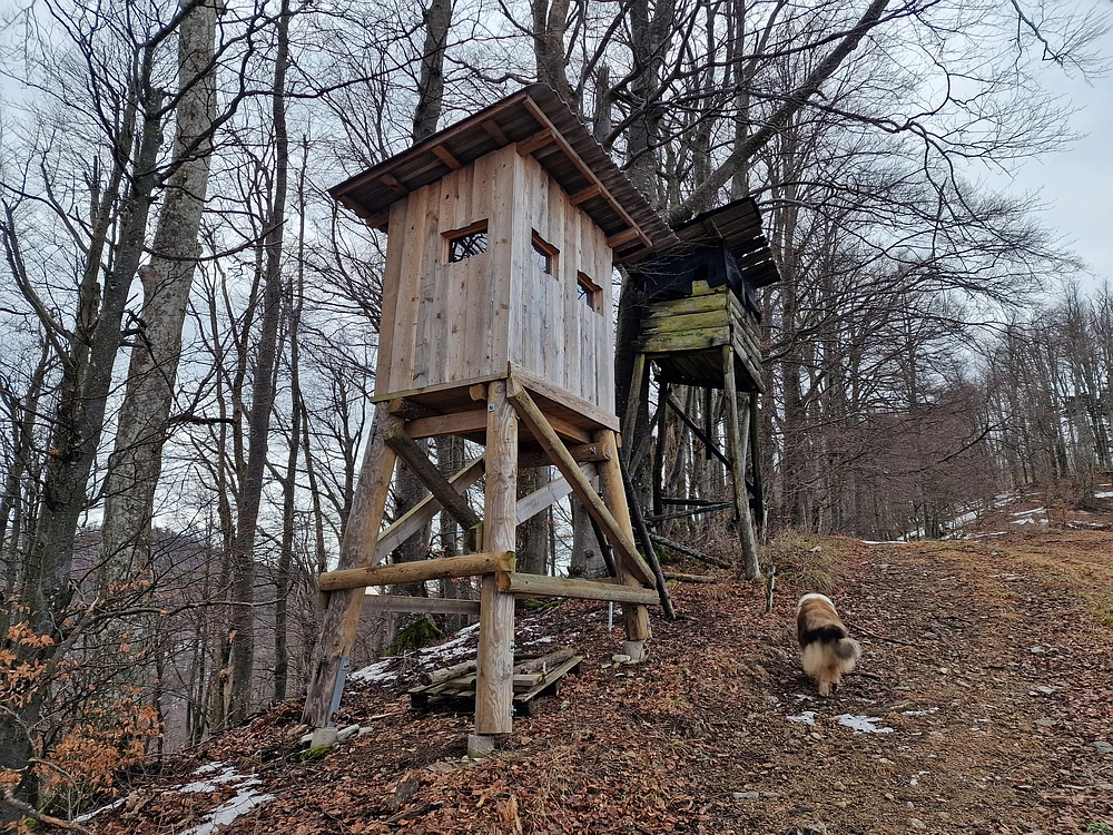 Kočet - Homič - Mrzlica, 8. 1. 2026