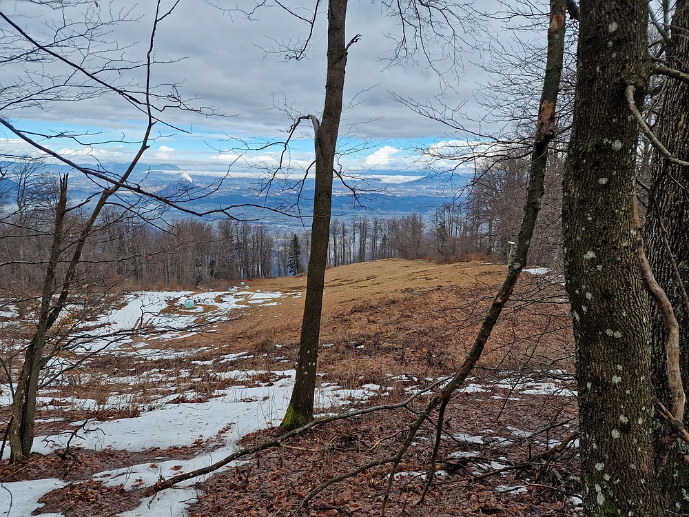 Kočet - Homič - Mrzlica, 8. 1. 2026