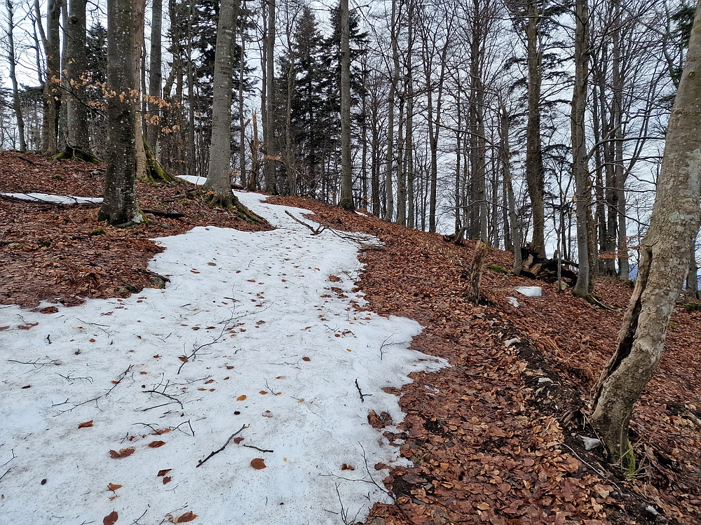 Kočet - Homič - Mrzlica, 8. 1. 2026