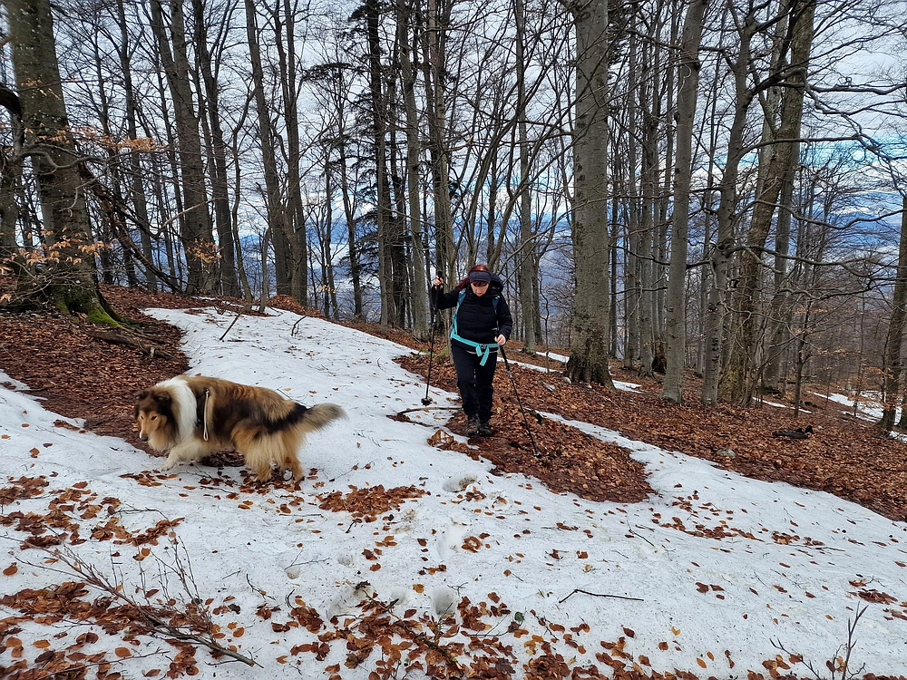 Kočet - Homič - Mrzlica, 8. 1. 2026