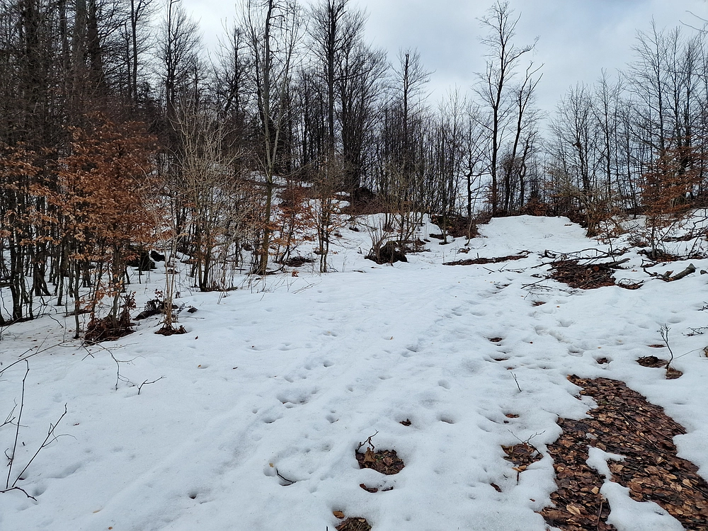 Kočet - Homič - Mrzlica, 8. 1. 2026