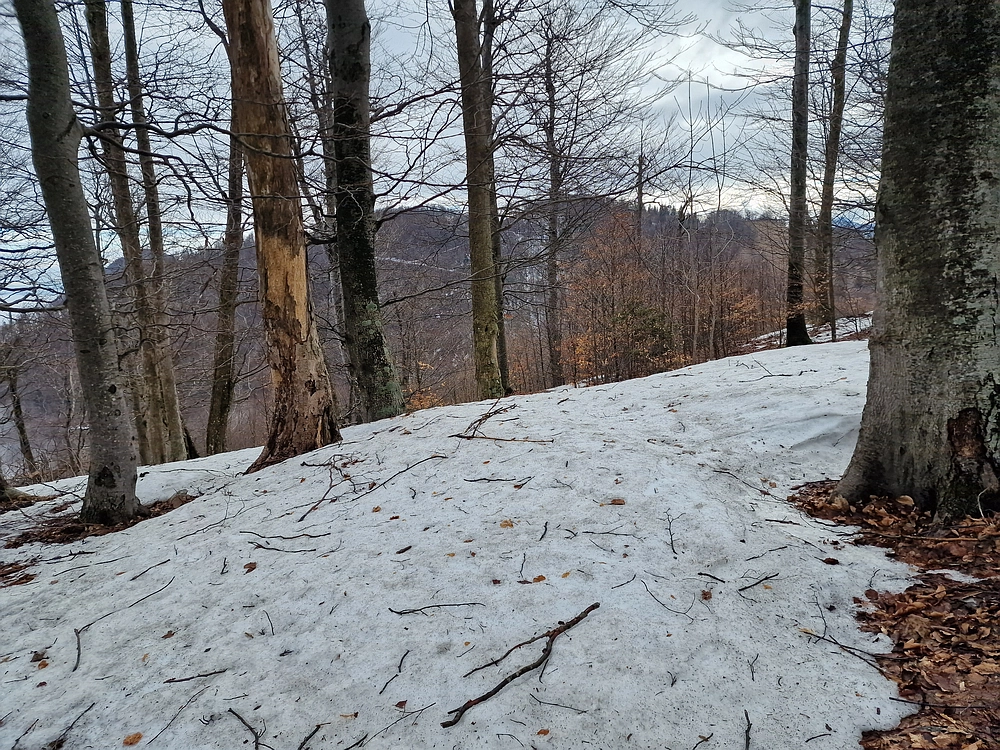 Kočet - Homič - Mrzlica, 8. 1. 2026