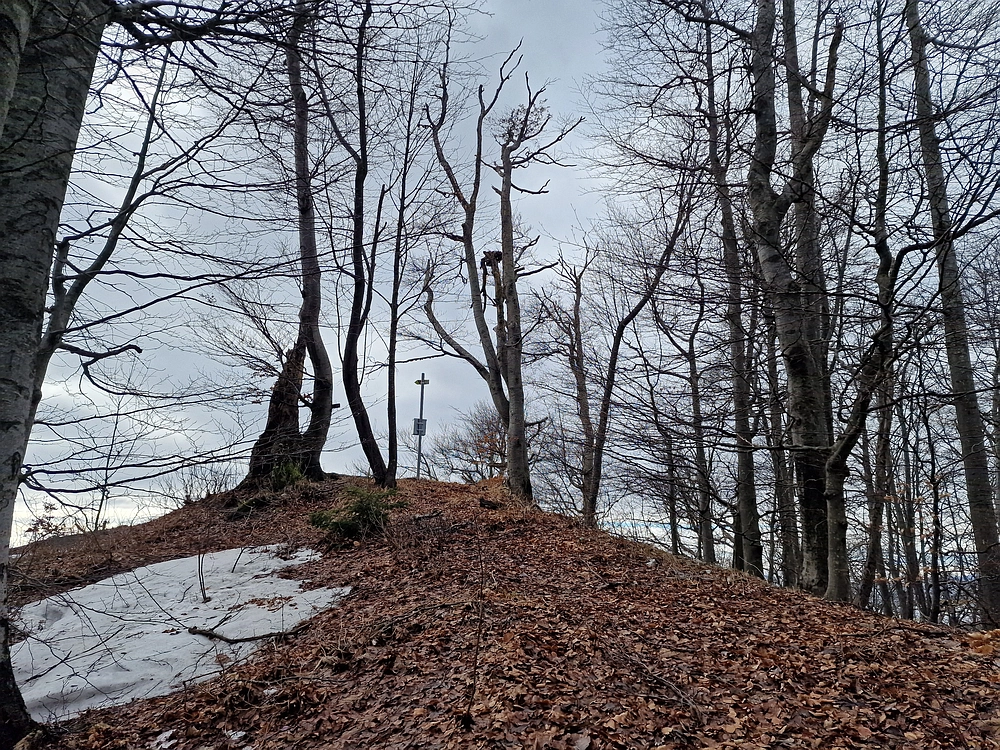 Kočet - Homič - Mrzlica, 8. 1. 2026