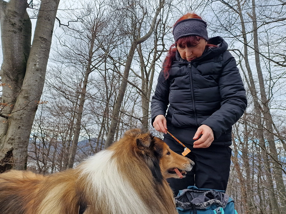 Kočet - Homič - Mrzlica, 8. 1. 2026