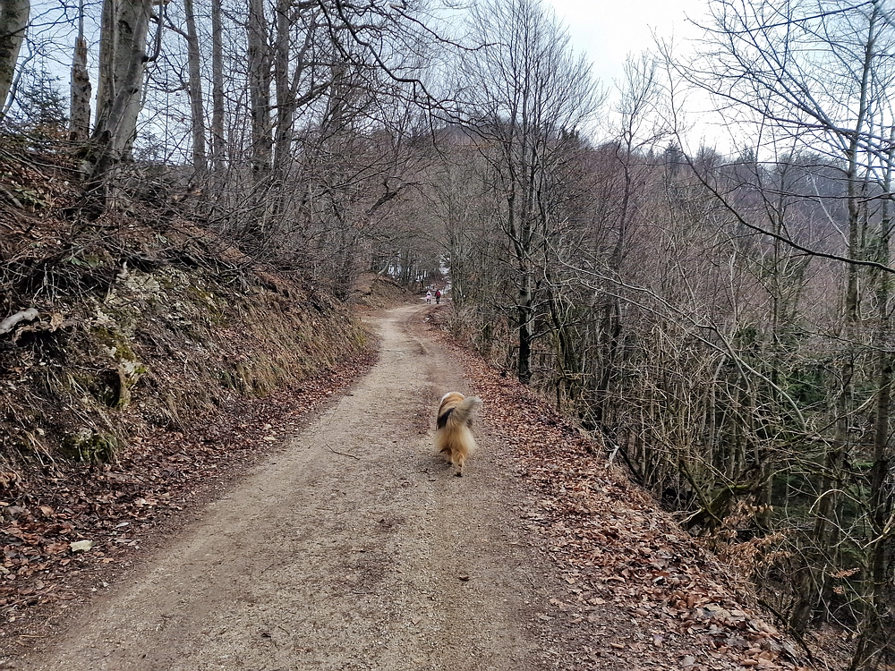 Kočet - Homič - Mrzlica, 8. 1. 2026