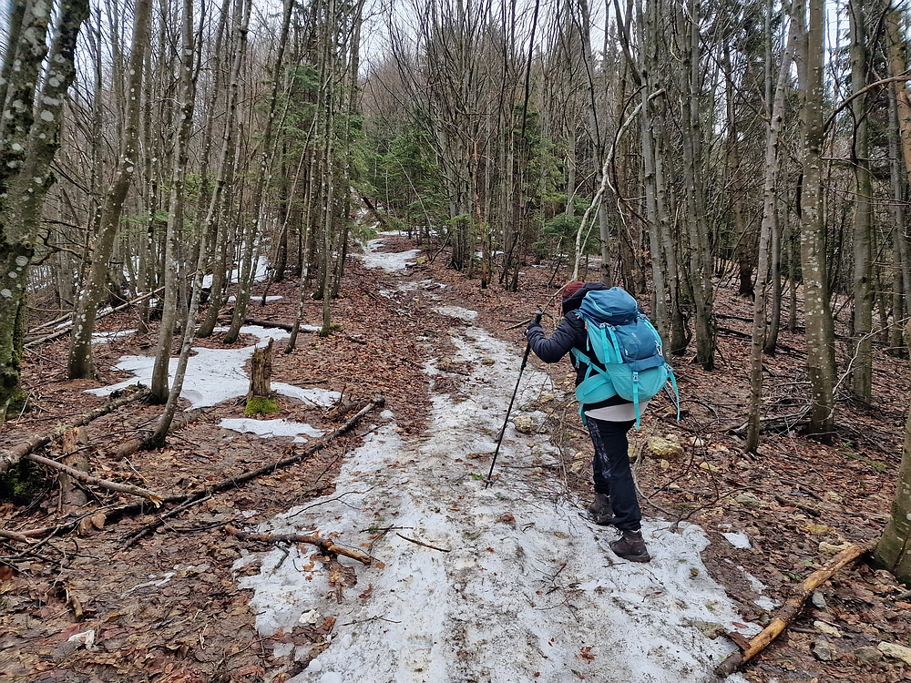 Kočet - Homič - Mrzlica, 8. 1. 2026