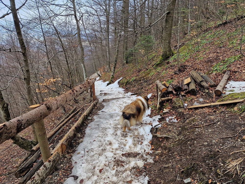 Kočet - Homič - Mrzlica, 8. 1. 2026