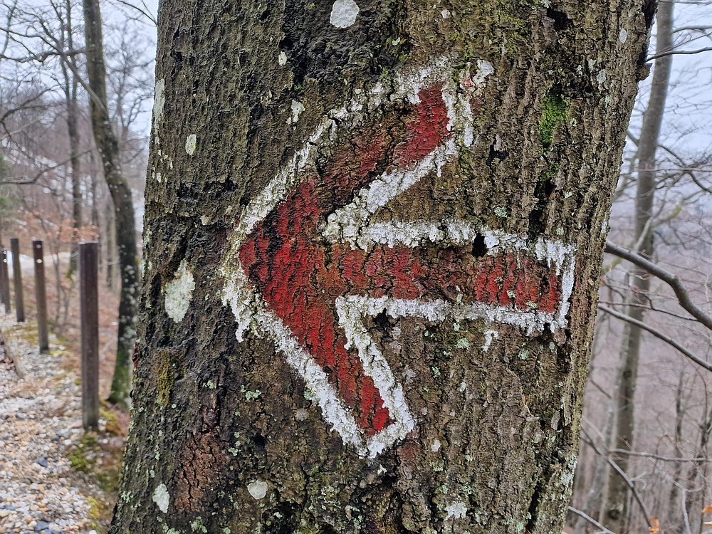 Kočet - Homič - Mrzlica, 8. 1. 2026