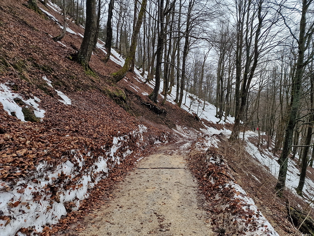 Kočet - Homič - Mrzlica, 8. 1. 2026