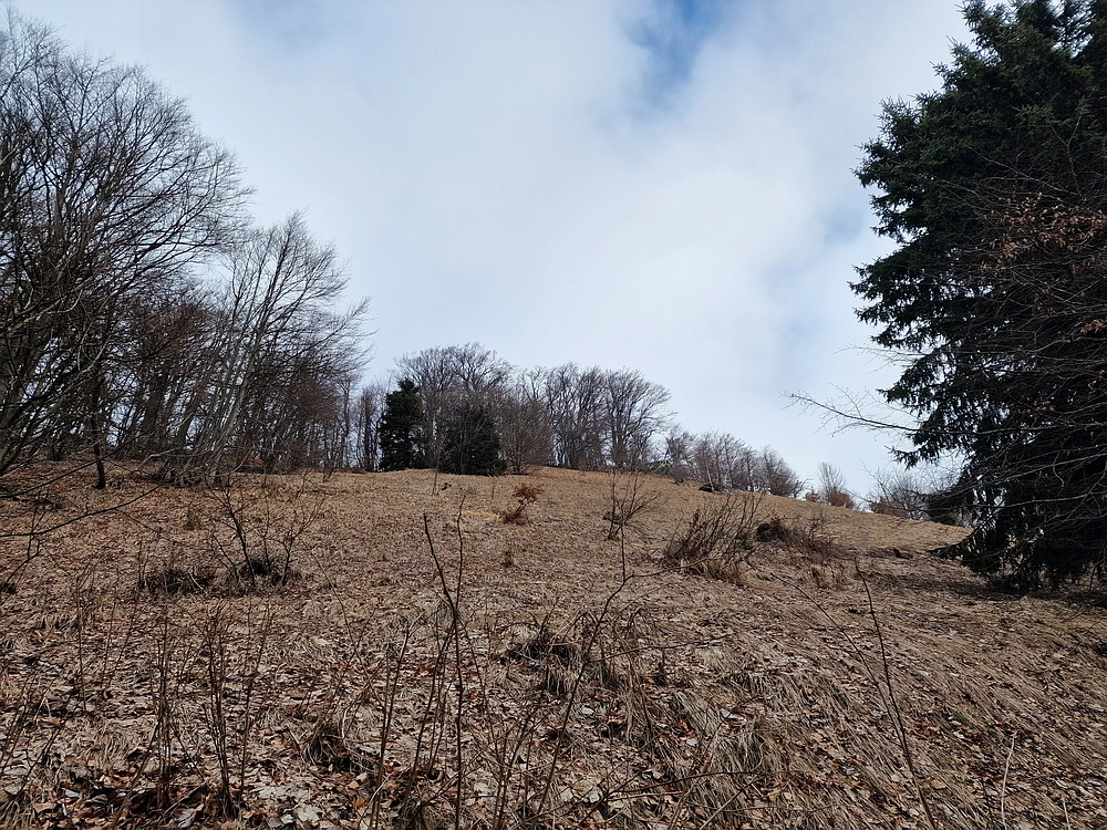 Kočet - Homič - Mrzlica, 8. 1. 2026