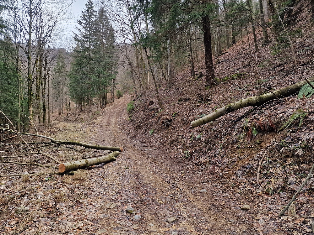 Kočet - Homič - Mrzlica, 8. 1. 2026