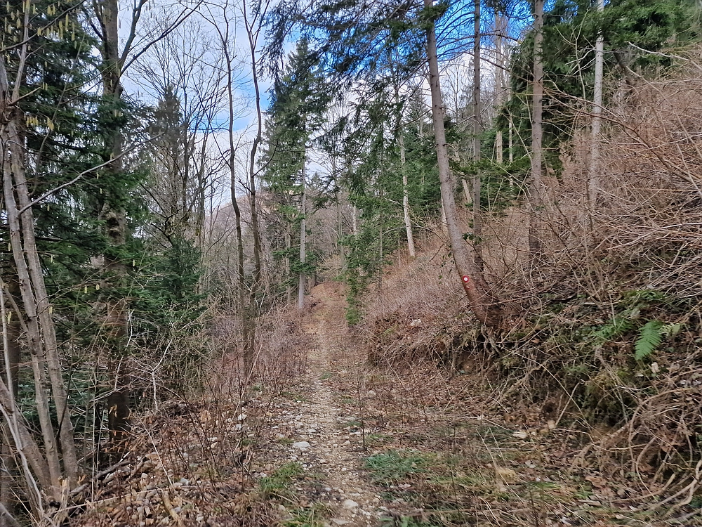 Kočet - Homič - Mrzlica, 8. 1. 2026