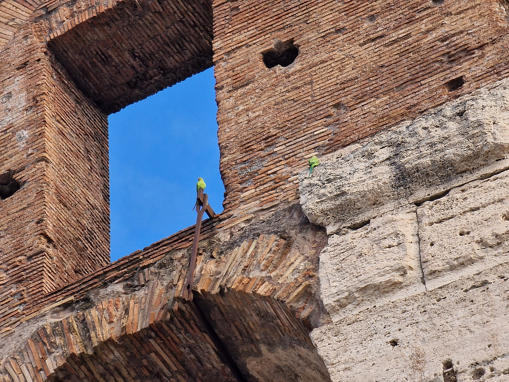 Rim, Neapelj, Pompeji, Vezuv, 16. - 19. 2. 2026