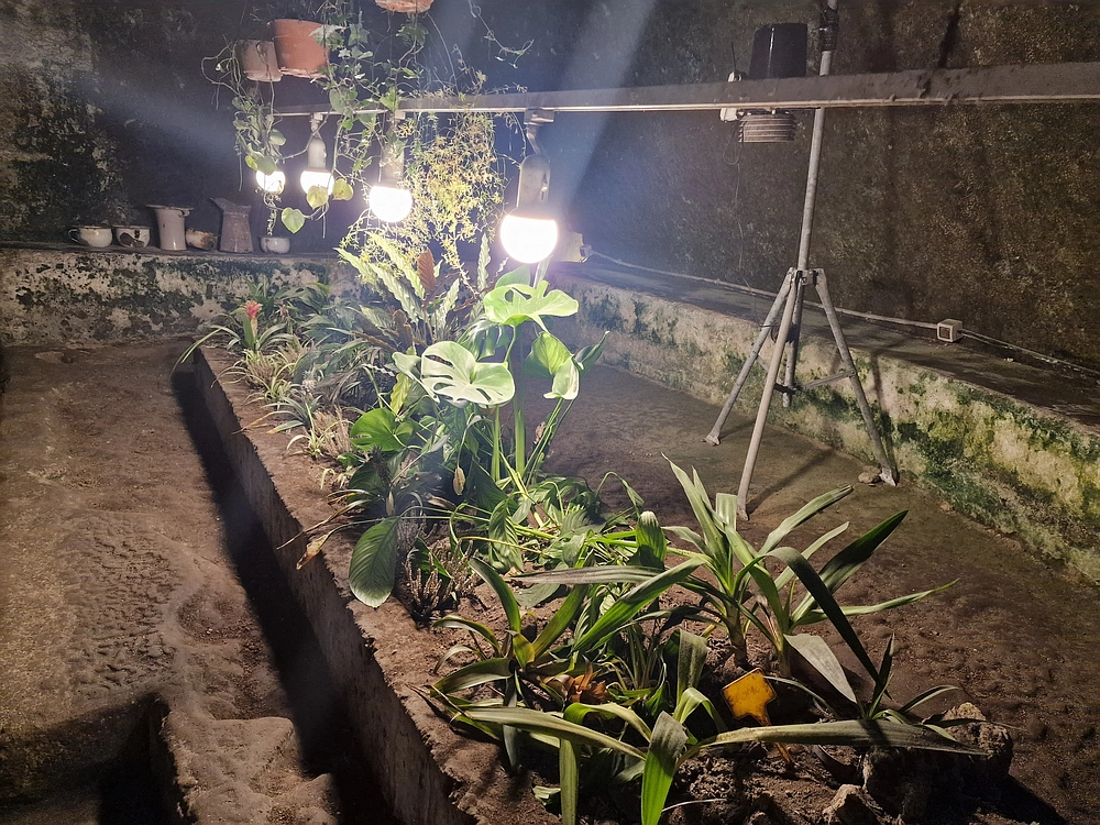 Rim, Neapelj, Pompeji, Vezuv, 16. - 19. 2. 2026