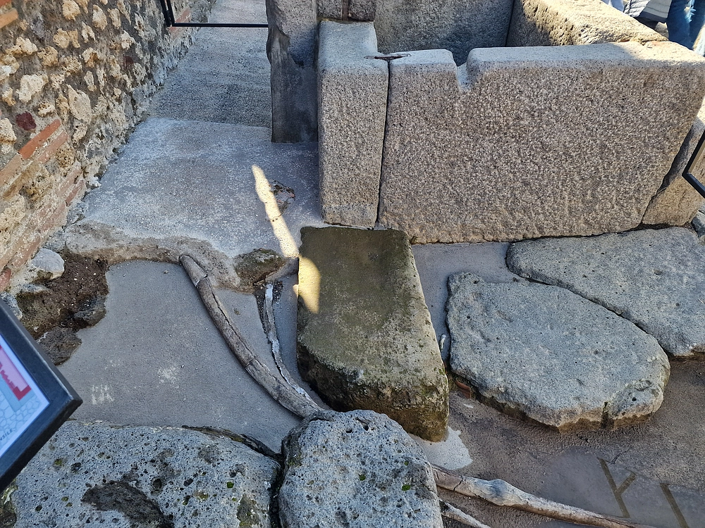 Rim, Neapelj, Pompeji, Vezuv, 16. - 19. 2. 2026