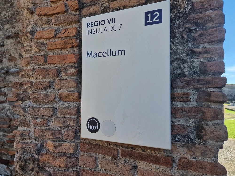 Rim, Neapelj, Pompeji, Vezuv, 16. - 19. 2. 2026