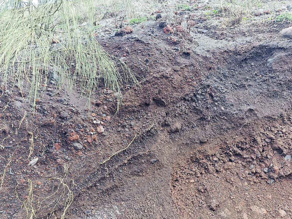 Rim, Neapelj, Pompeji, Vezuv, 16. - 19. 2. 2026