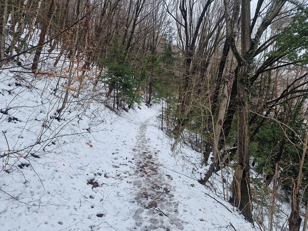 Sveta Planina, 21. 2. 2026