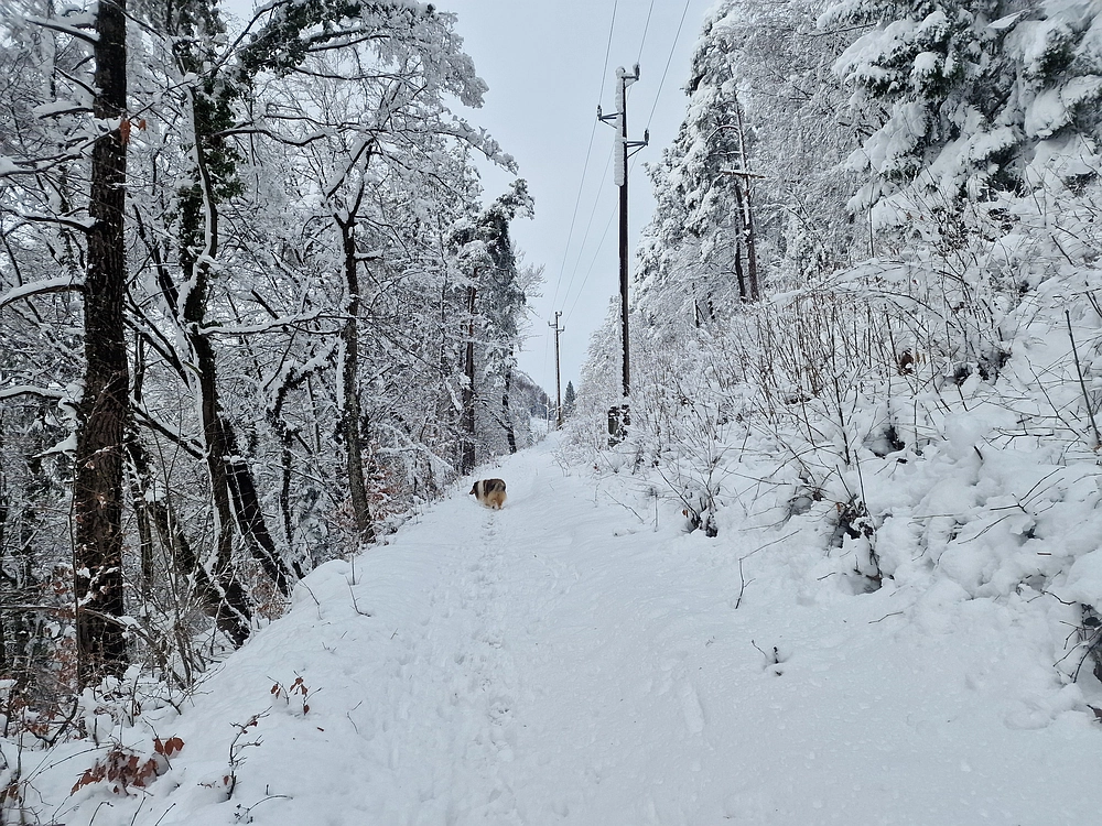 Sveta Planina, 21. 2. 2026