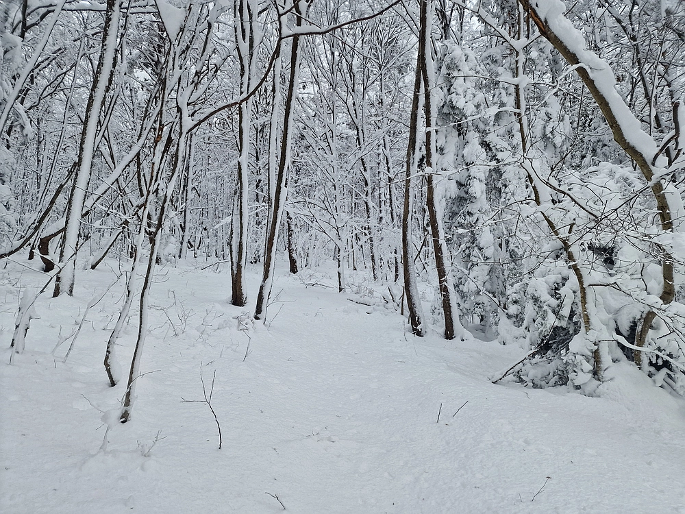 Sveta Planina, 21. 2. 2026