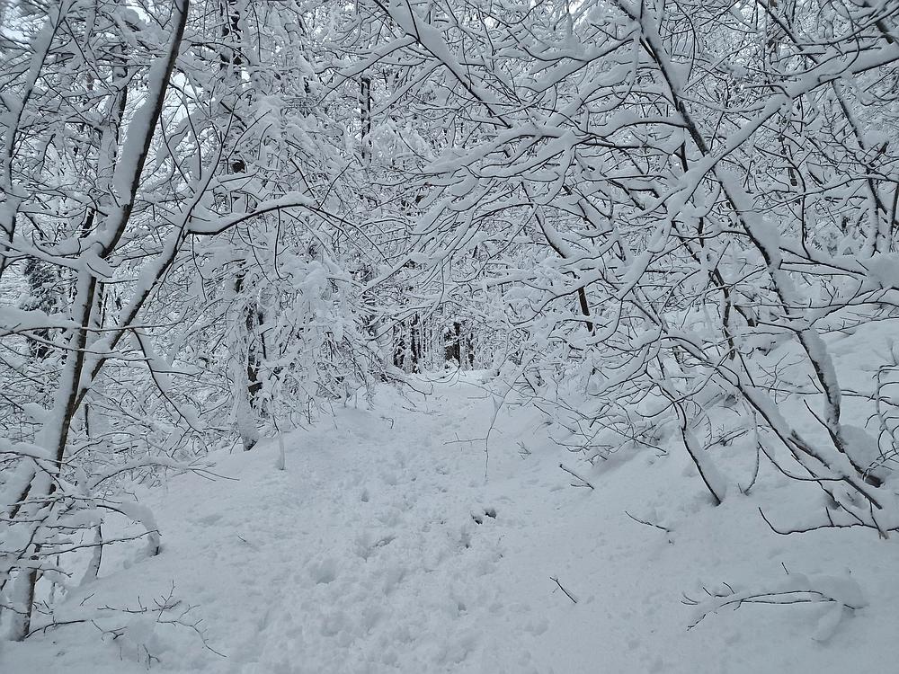 Sveta Planina, 21. 2. 2026